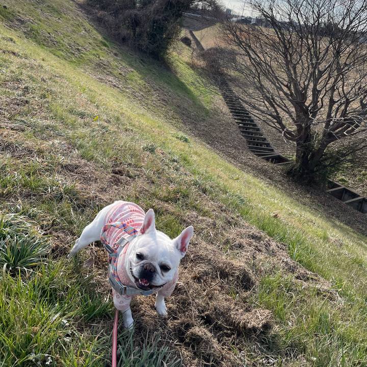 578fb8d7 b96b 419d 8e10 e6f393488384 1767157925436