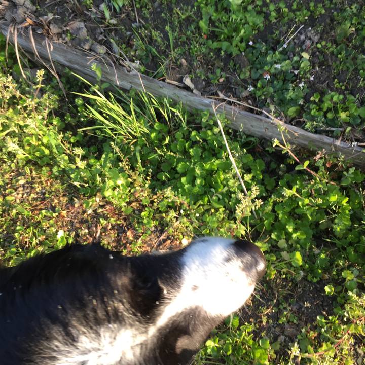 57905652 1c3c 4dfe b11b 935f6a003412 1553038041312