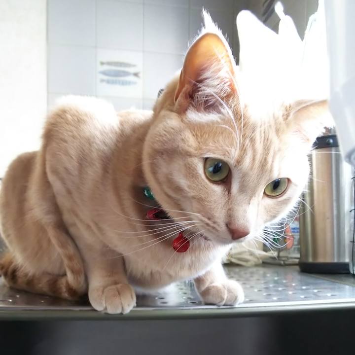 57907f18 5bad 4710 b013 b2fcd0f1aaa5 1577844375473