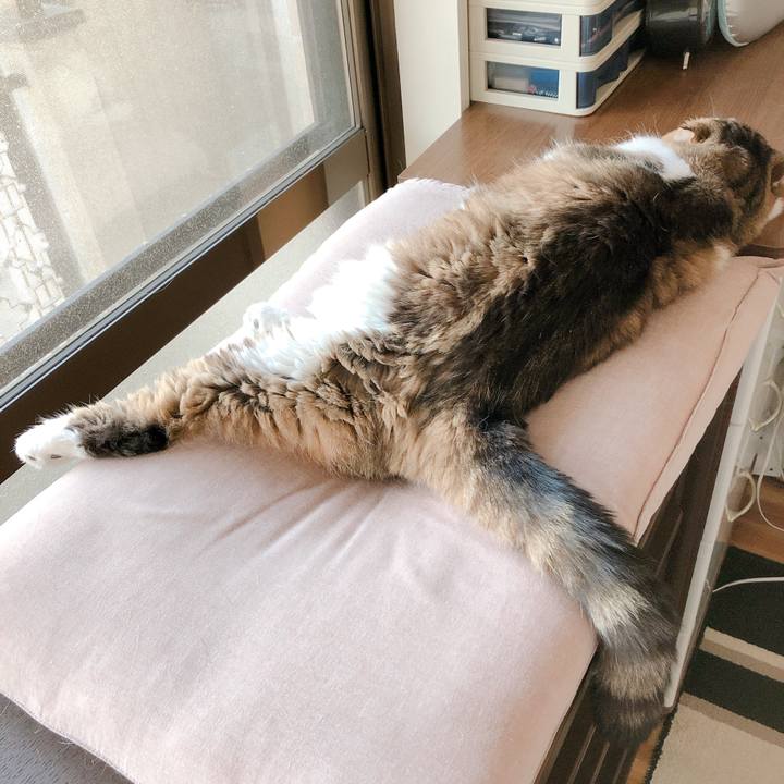 5790a984 018a 4b8c 9591 1dae24eaae62 1564740577523