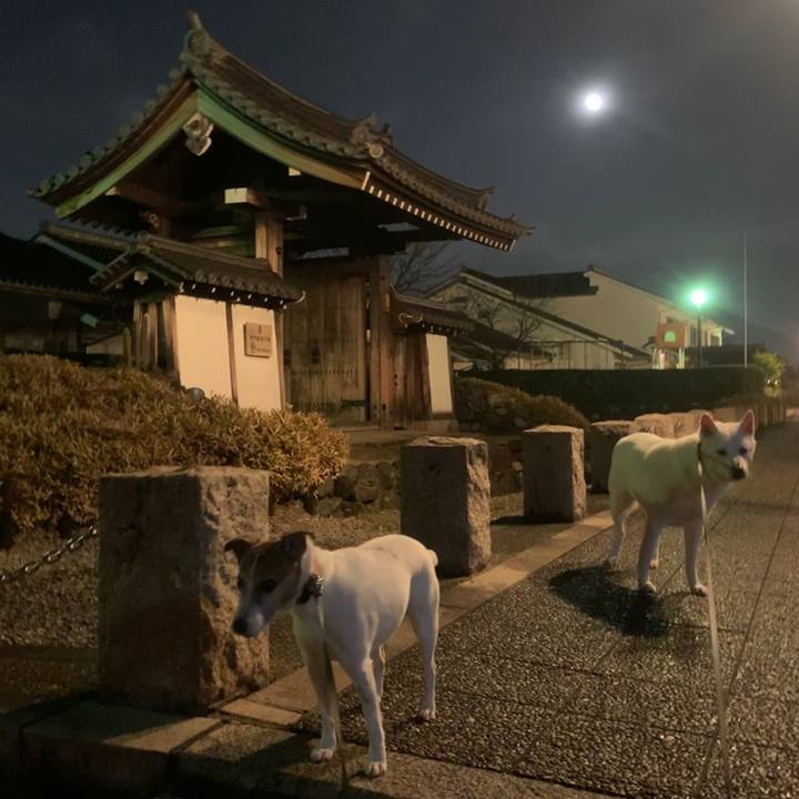 5790c0f9 b7a2 4c33 a1aa cd7e56ee4a10 1545478854714