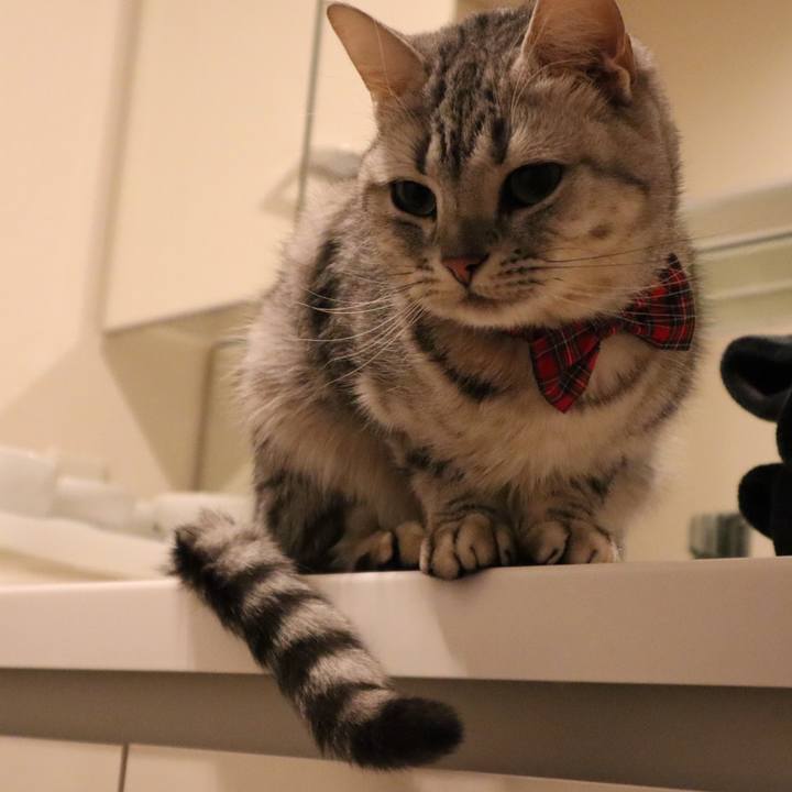 5790cd1b 2111 4904 bd8e e31261e8718d 1580690279412