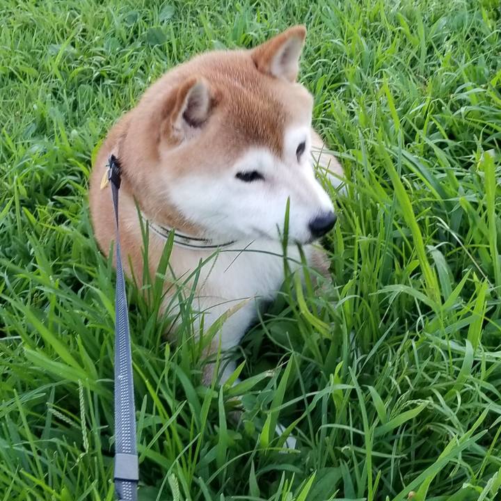 5790d000 84b2 4644 9290 d2bdbc0ec900 1597484013653