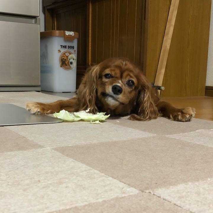 5790eca1 7d6c 40a3 8c39 794ee7fa8f86 1628028571302