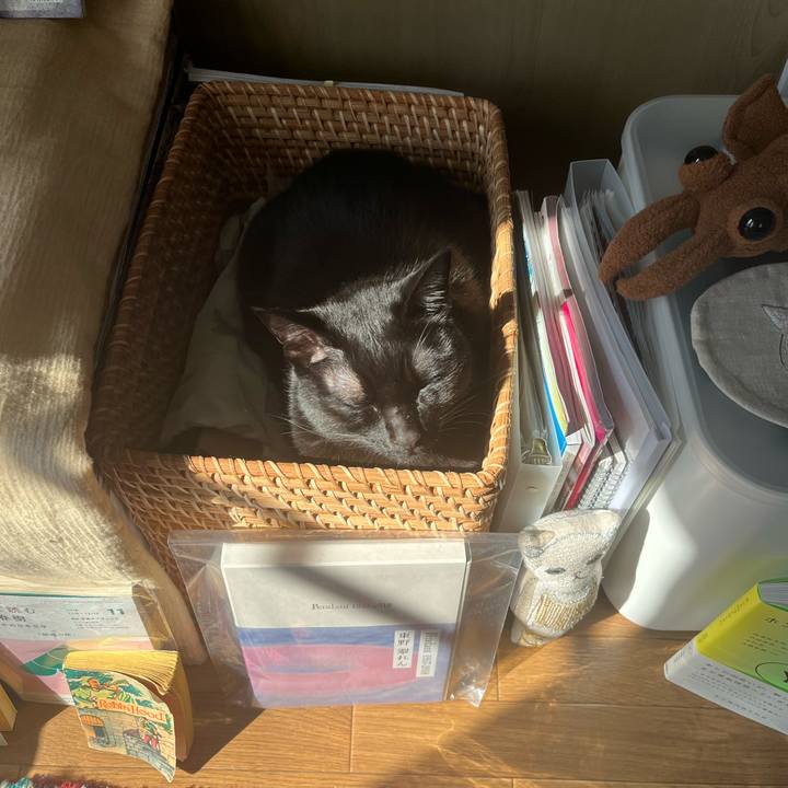 579113cb 57f0 403a ac5b 6cf75f9c6a1b 1676087642866