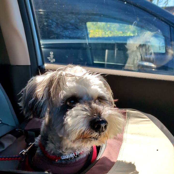 57914e0d 8787 49d2 a574 a2dd074fcc3c 1762150232687