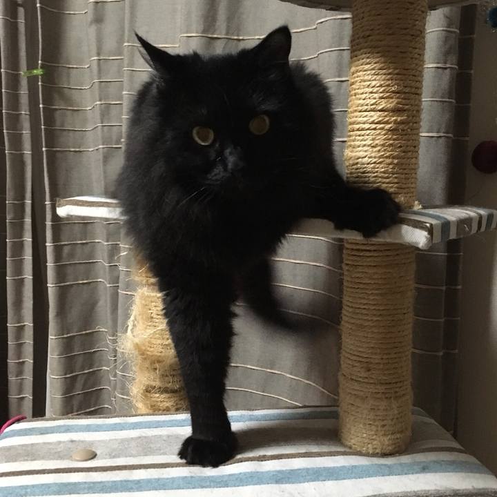 57917028 092d 4307 a34b 196b3d196005 1573910880696