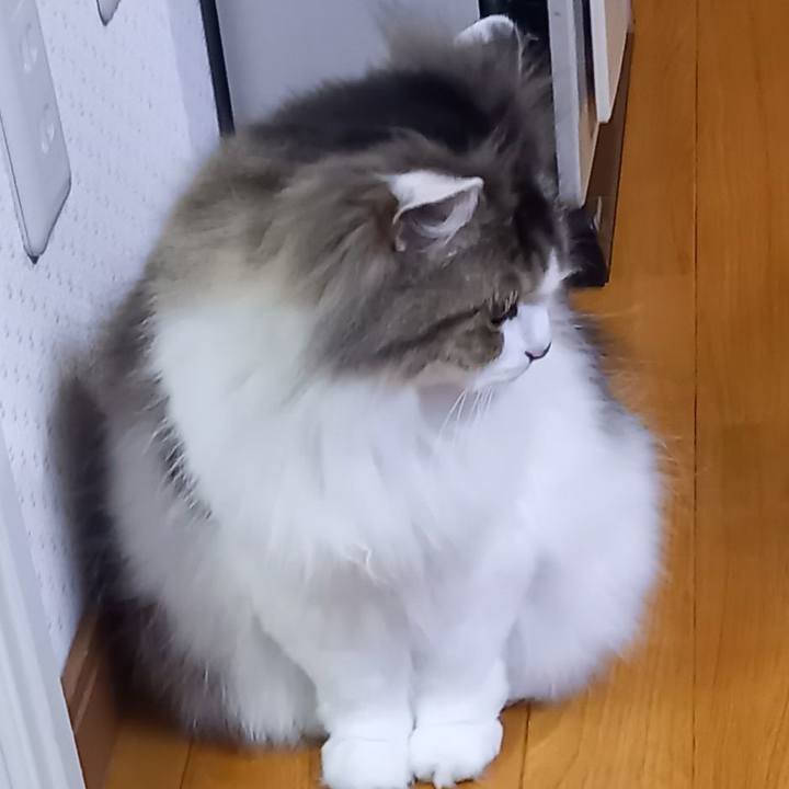 57917620 08e2 462f b531 b260d327a669 1681560009266