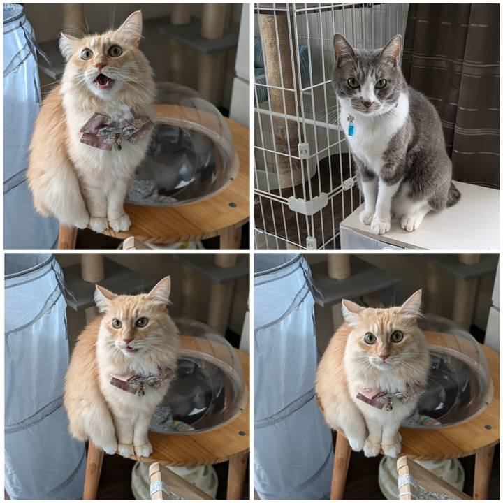 579184a8 a9c7 4233 9497 8b37c979ad84 1730771970024