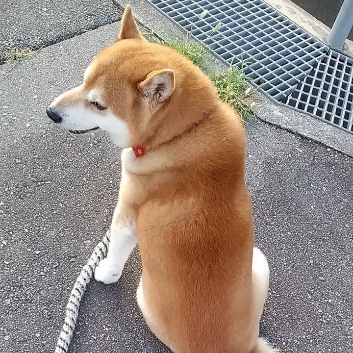 57918bfe 6738 4f51 bc4d 81a6df7de2bf 1662795373123