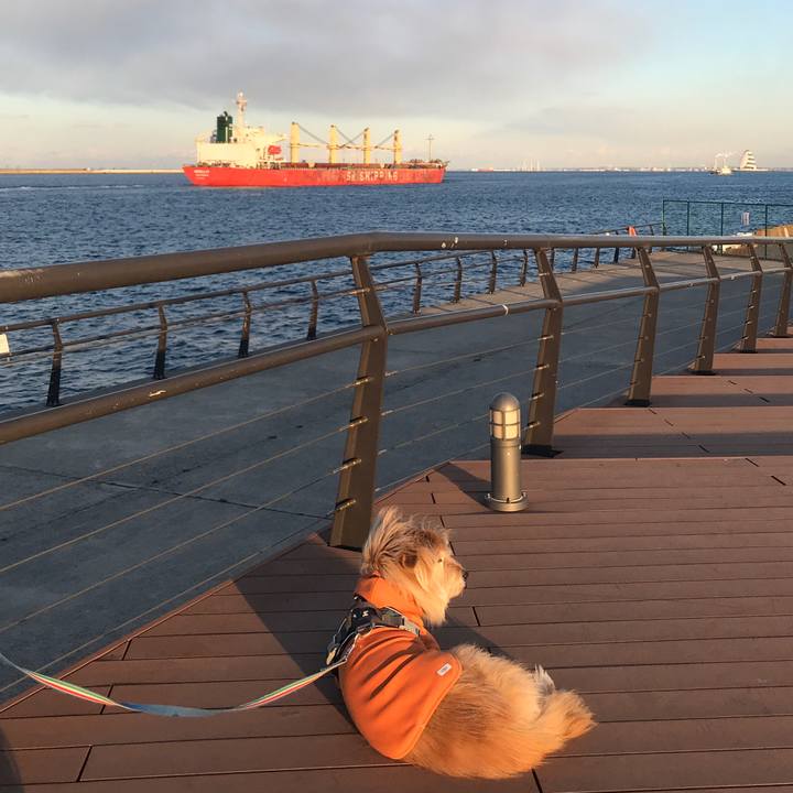 57919444 42fc 4997 9314 7e3ef560b932 1644193373246