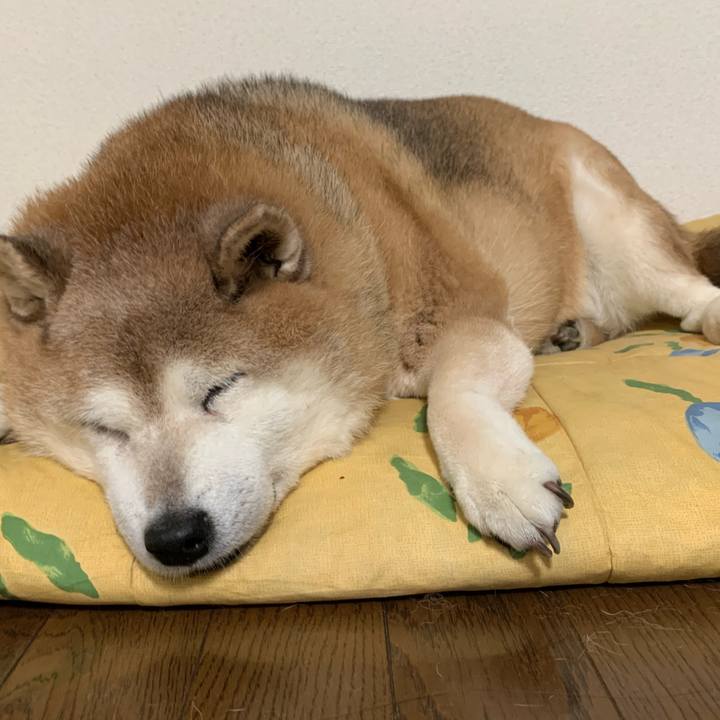 5791c275 b9a8 4aca 989c 5bc491b820cc 1602406436781