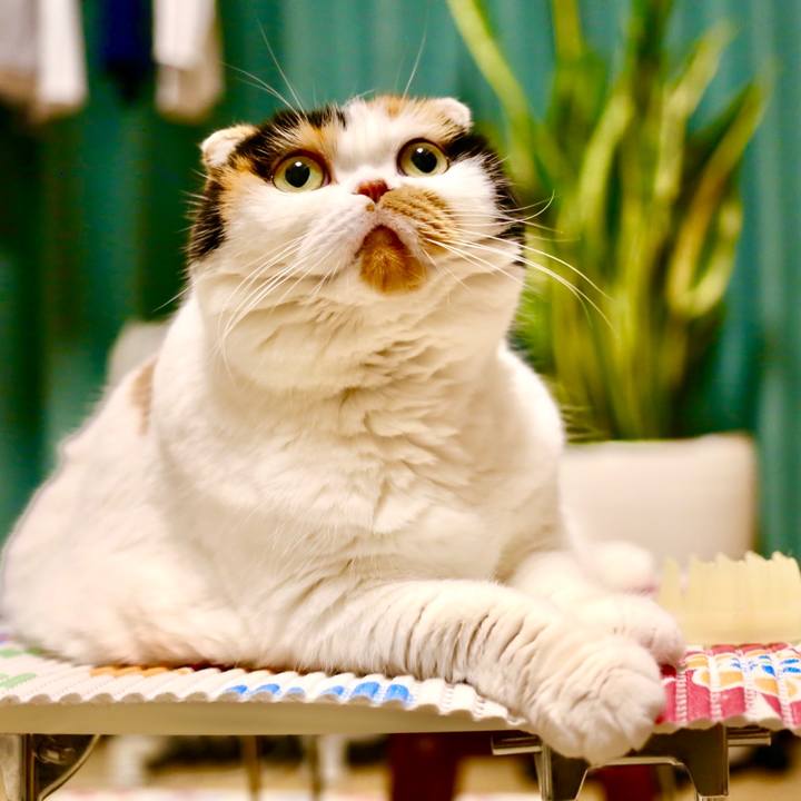 5791cbb5 82cc 41f2 8897 8d9620959e96 1634822165775