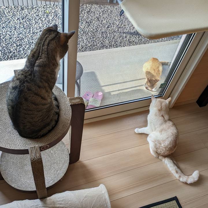 5791d50f 960c 49d4 9fcc 6fa4527e7027 1688895991046