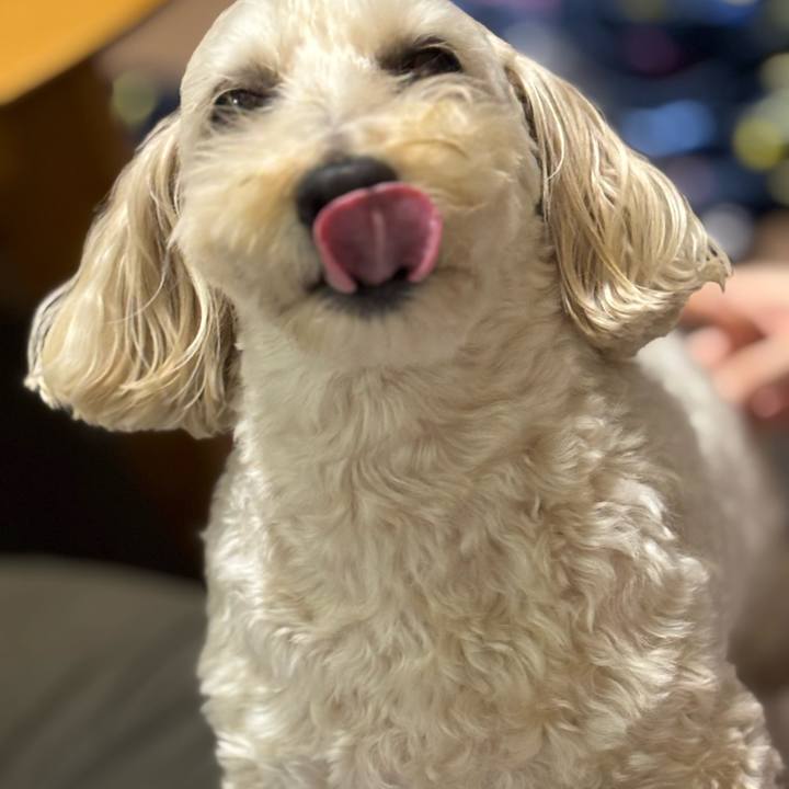 5791df39 241c 4fc8 af85 826bed179e40 1761994620217