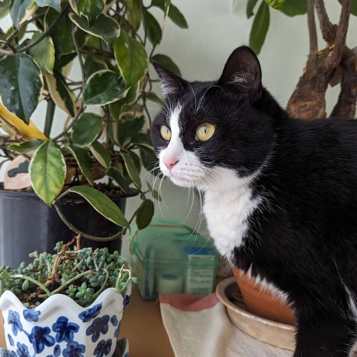 57923a6f 34d9 4fd0 b92b 907c83053ad3 1708054037423