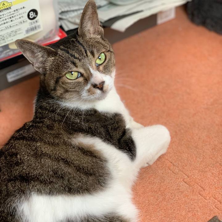 57925dd7 f627 4cb2 893f cb9452821463 1564792993560