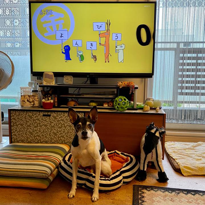 5792a410 e56e 46ed bcc1 5294a782d1c8 1622758174817