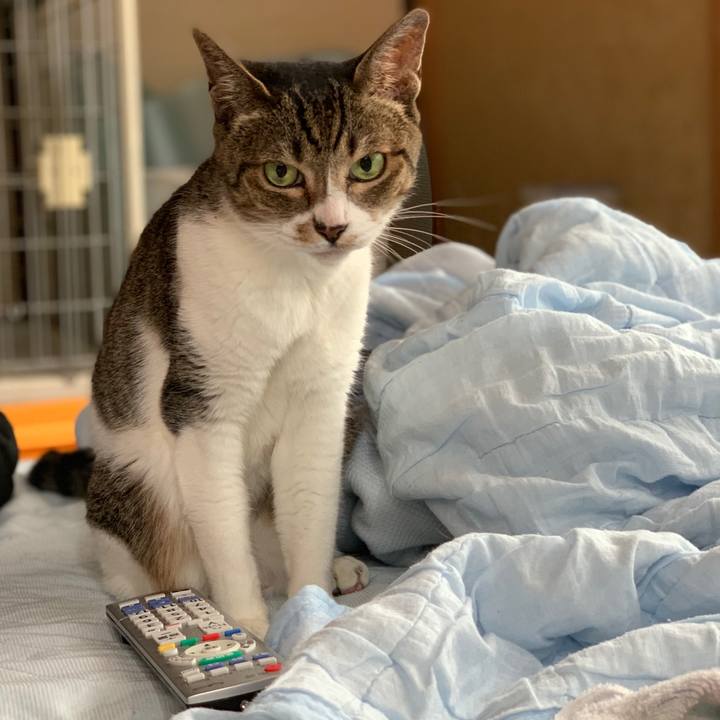 5792b1e6 f5f2 4d25 b278 e9de2af42d0c 1562634053295