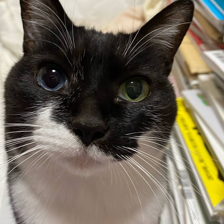 57931658 767b 41ba a5b3 447528acfc98 1611410631341