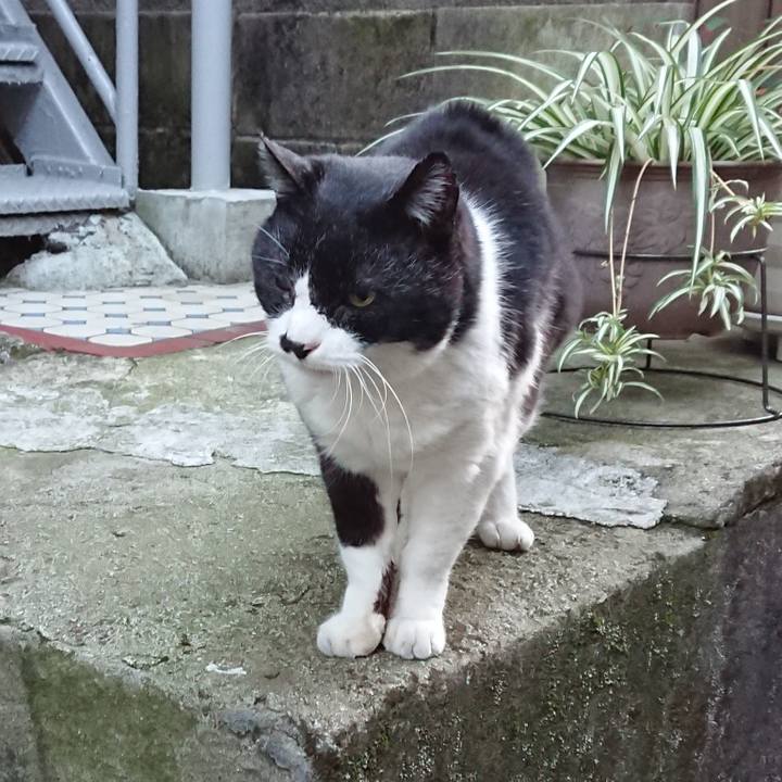 579342f6 94ef 492e 802e 3bd691ec55bd 1674372960135