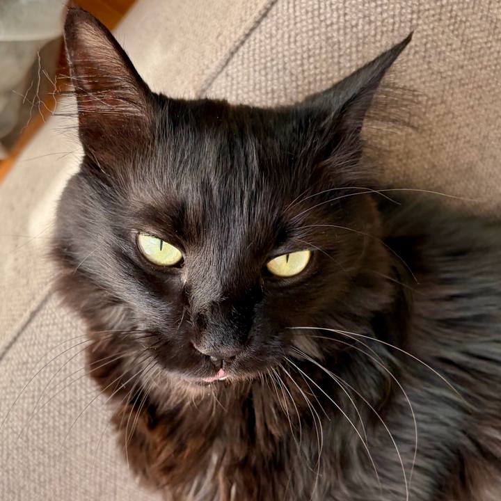 57936754 053a 40f7 9ad5 80a2fecdef48 1772974895895