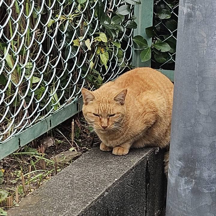 57937bb0 87f4 43c6 9823 7a5130d11e3f 1730181997922