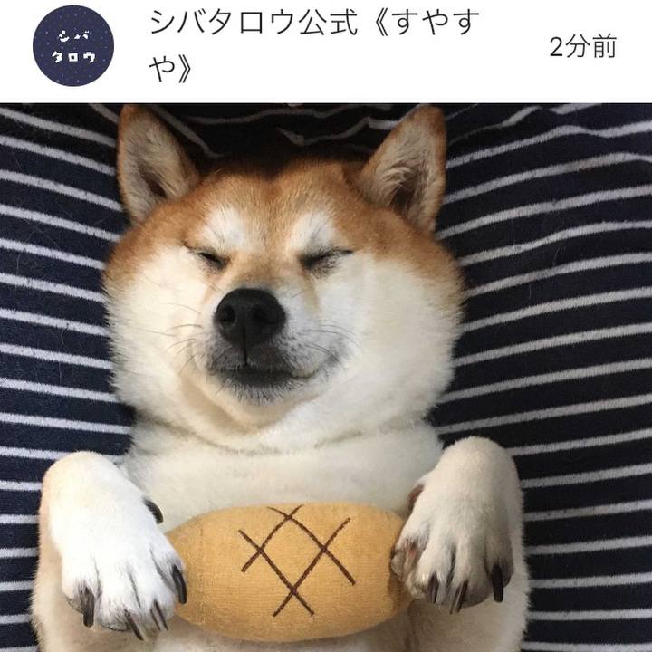 5793947e 4bc9 4ab9 99fa 76016f91d6de 1635774894015