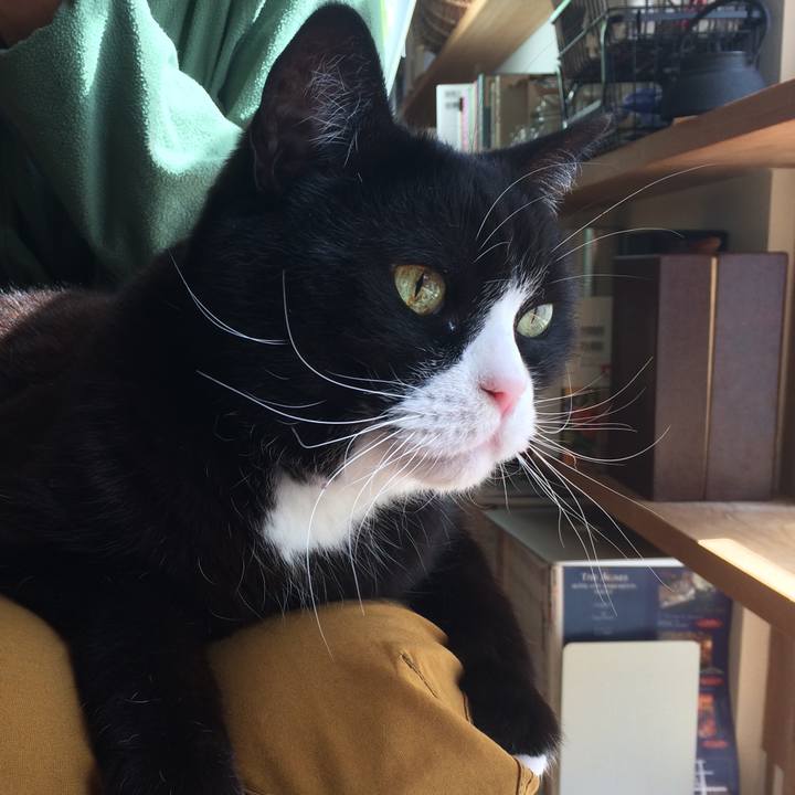 5793c22c b89d 4820 863a 5097ce8883c4 1520347774150