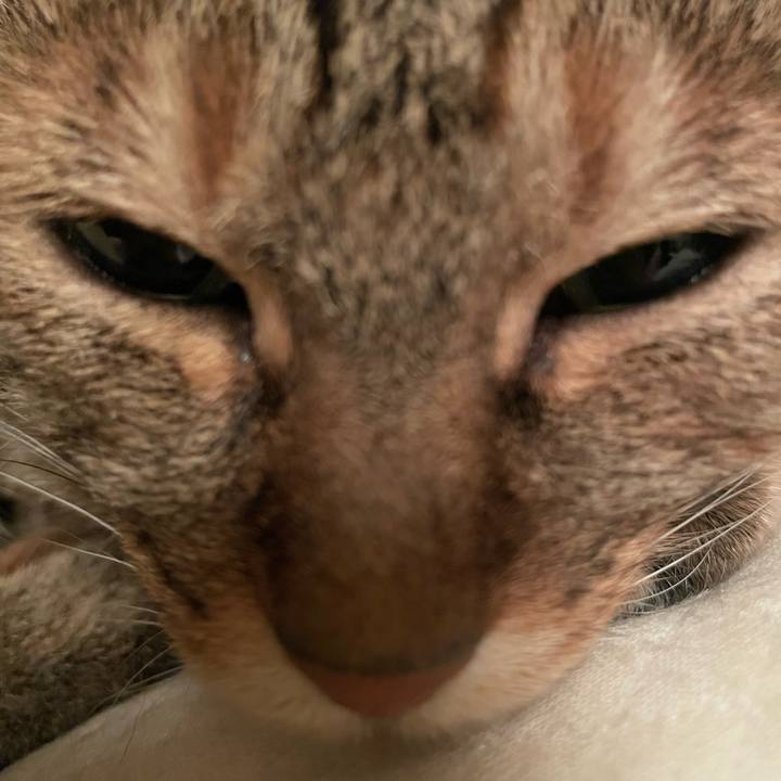 57940224 bbd8 42ca b1bc f783f2650df9 1654352406561