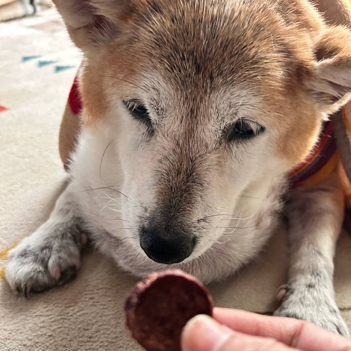 5794069a b89d 40ed 8c51 35cc9d16deed 1761726445864