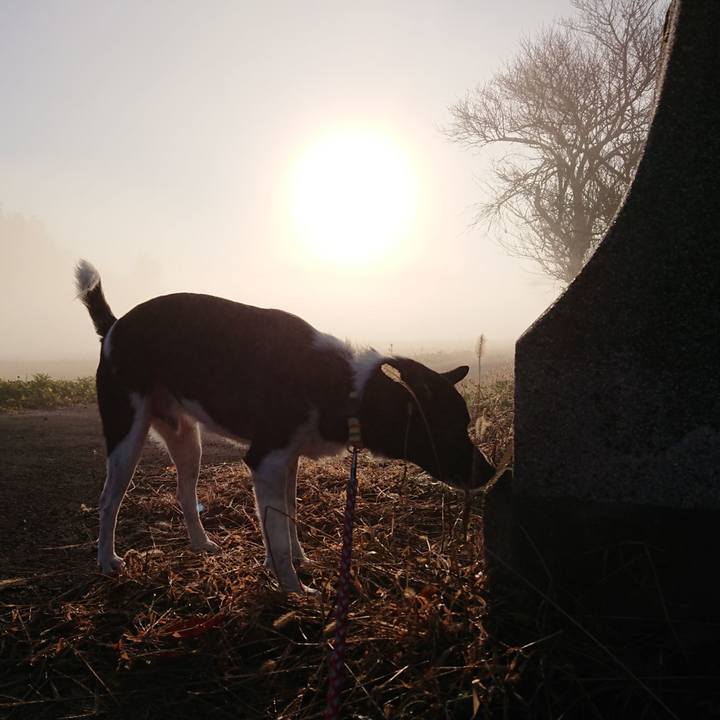 57941972 931a 4733 9970 8ba567b07e97 1576799424027