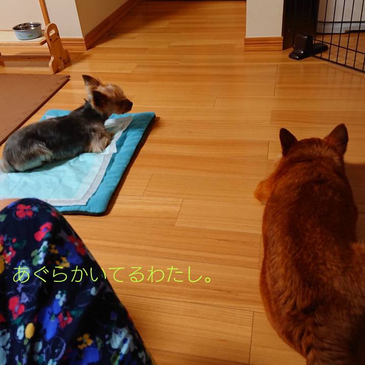 579426f5 974b 4dac 939b f946b1b70ad6 1559482648219