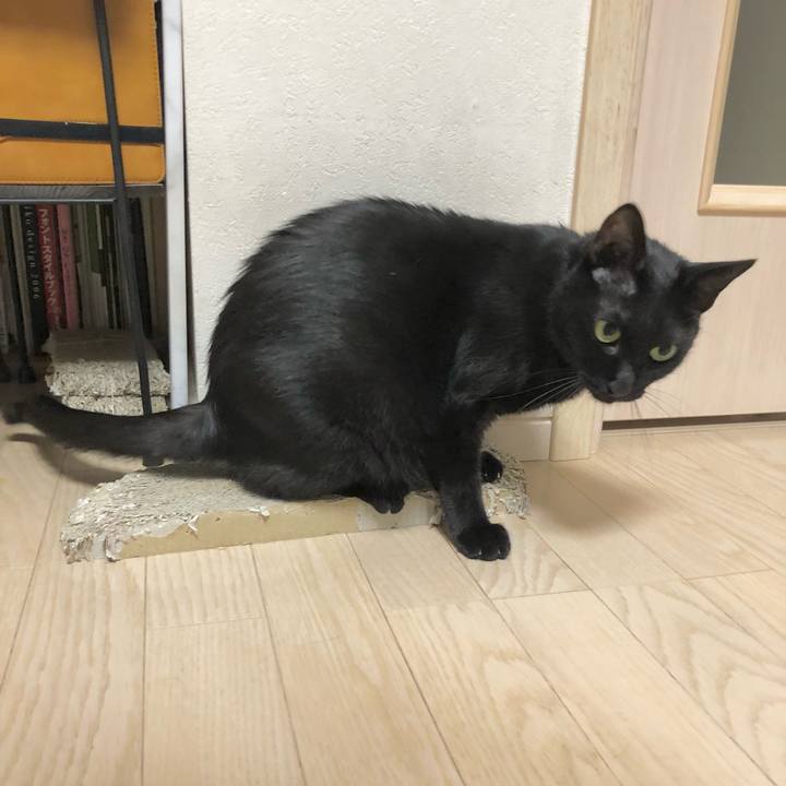 57944f55 bdf1 4b5c 8b1f 9ee3856888db 1627479055382