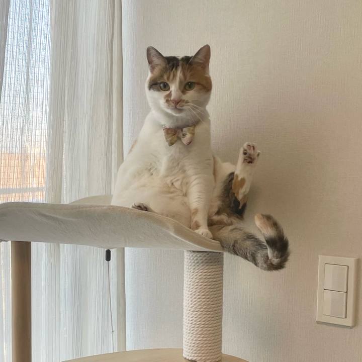 57949a74 06d4 491a a0e6 43a6b69b0cb7 1642548888219