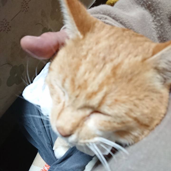 5794a5d7 bdb6 4e7f 9e27 b365d500aa96 1573334738592