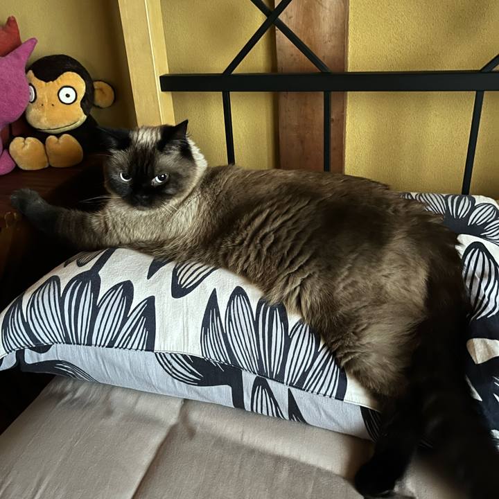 5794cd44 a535 4909 a098 57d6fc0b3fca 1659143511120