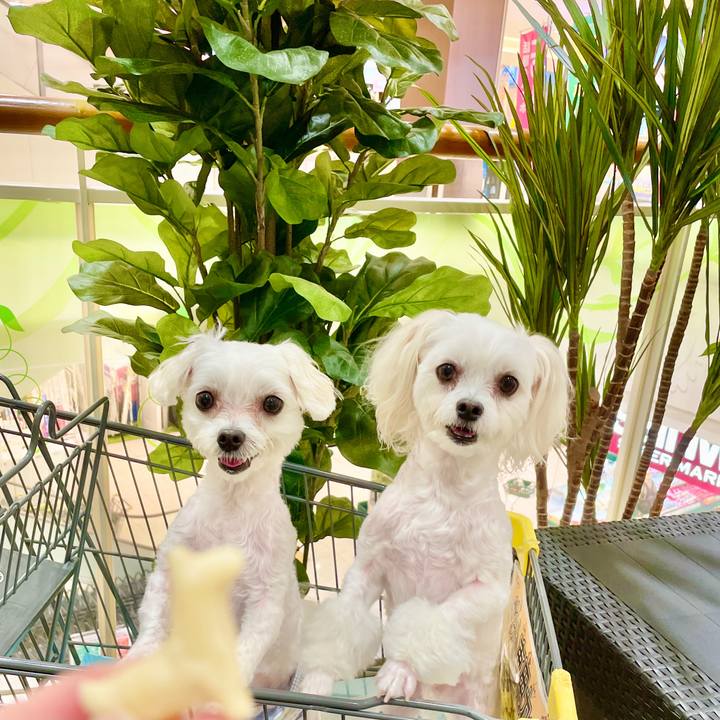 57950a3e 2b17 404c af3d d764de4ef5ff 1627615479415