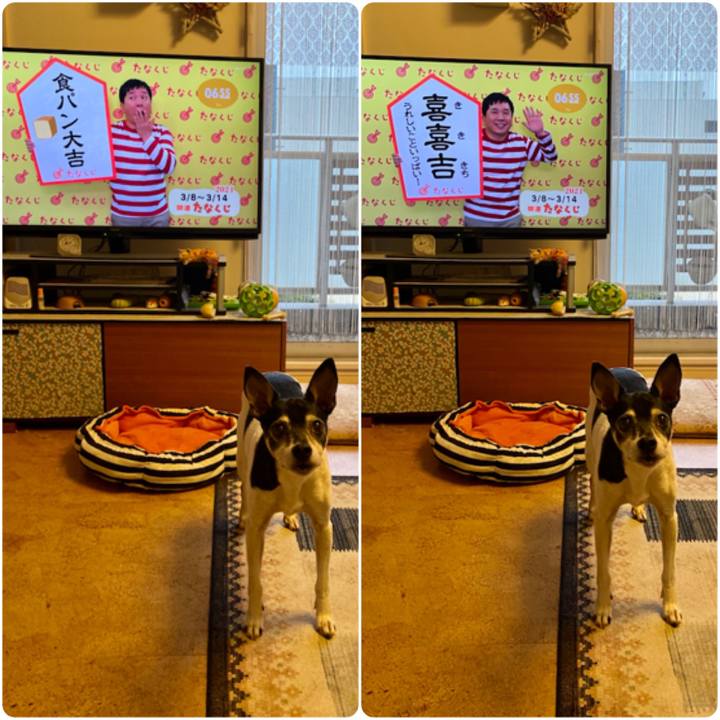 57950af8 d814 4e61 84f8 6e92e186b681 1615154933597