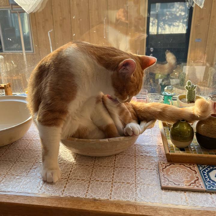 579551e5 eb61 41de 82eb bb8ad6d2c1d2 1680435423383