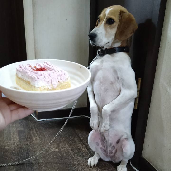 5795560c 3e85 40eb 8c1b c91ddb2bb304 1625734951318