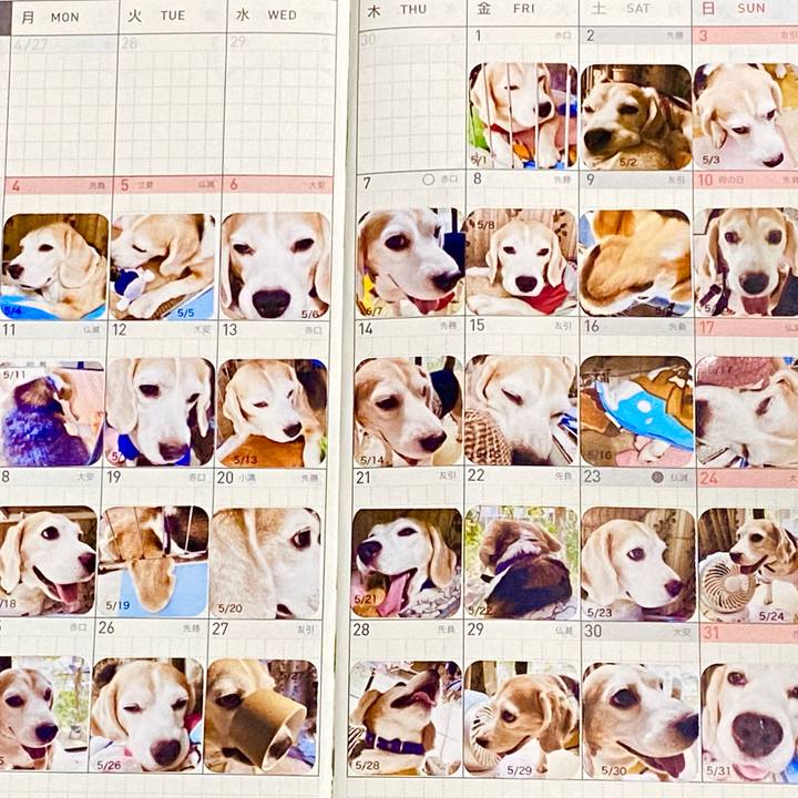 57958b4e bb5b 459e af67 256cad4c1ae0 1591921343431