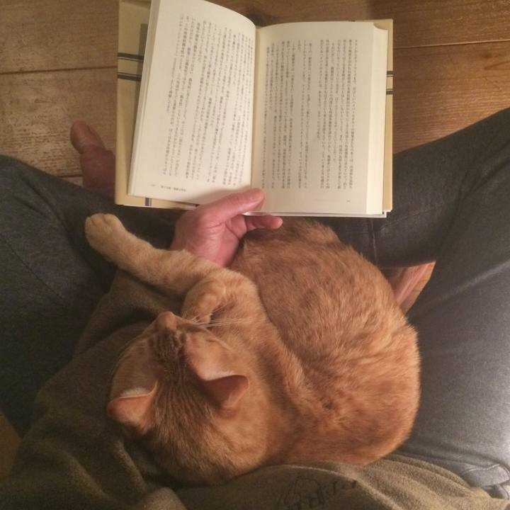 5795ab0f bbba 4330 9884 72d34154a0b1 1516705578734