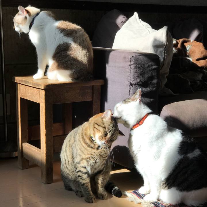 5795b396 5bf5 43e8 8349 1c2b2d0ff274 1512461309470