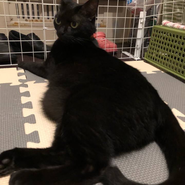 5795c90a 938d 4c30 afa1 25424b27bbe3 1532602475928