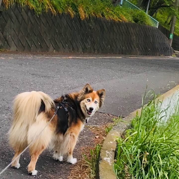 5795dc9f ad4c 4f92 9063 123c7381a59b 1587632300519