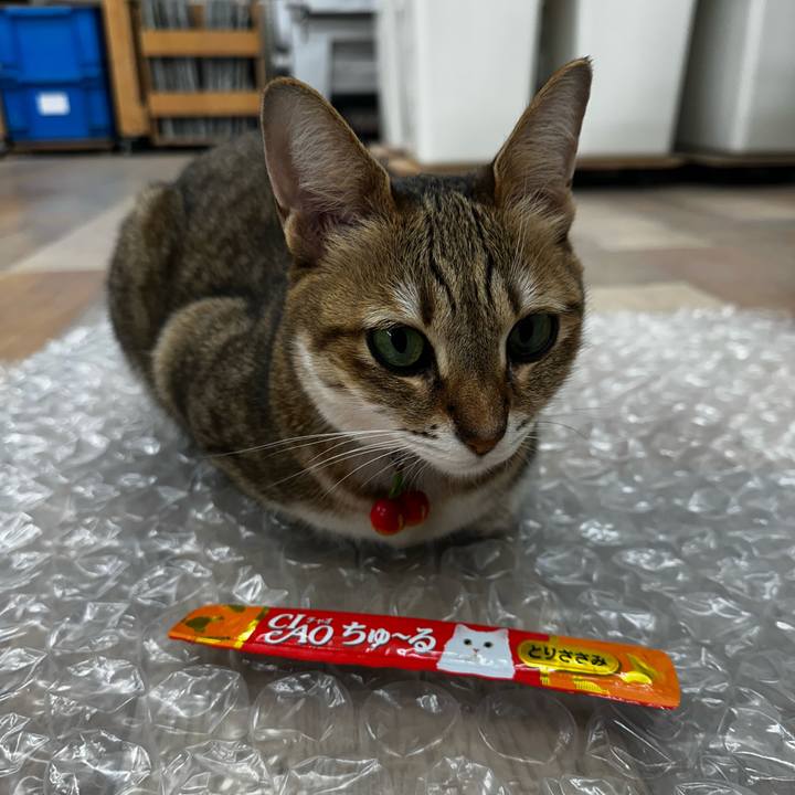 579604d1 d986 46a1 8305 2f44e72c876d 1766752241631