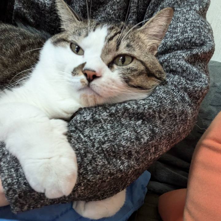 5796078d c3bd 41b0 8484 4d2eba13b52f 1732513386329