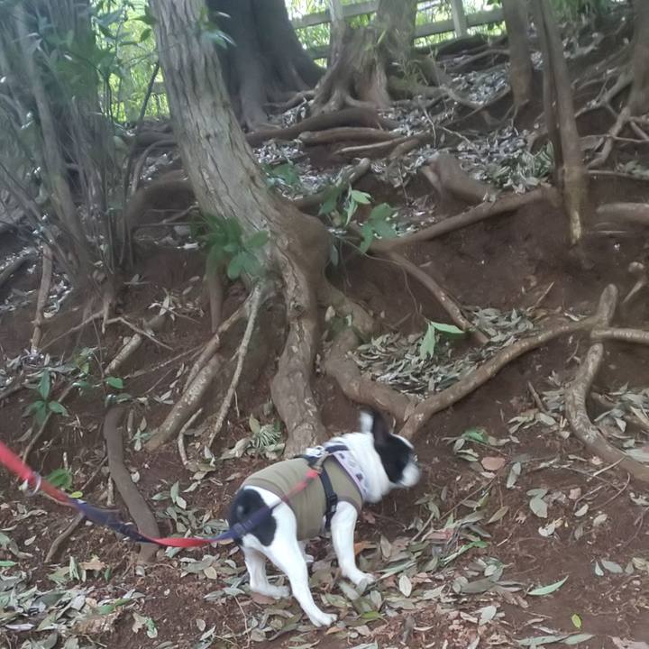 57960a17 8cbe 4f5c b330 b5459c6624cc 1620123063004