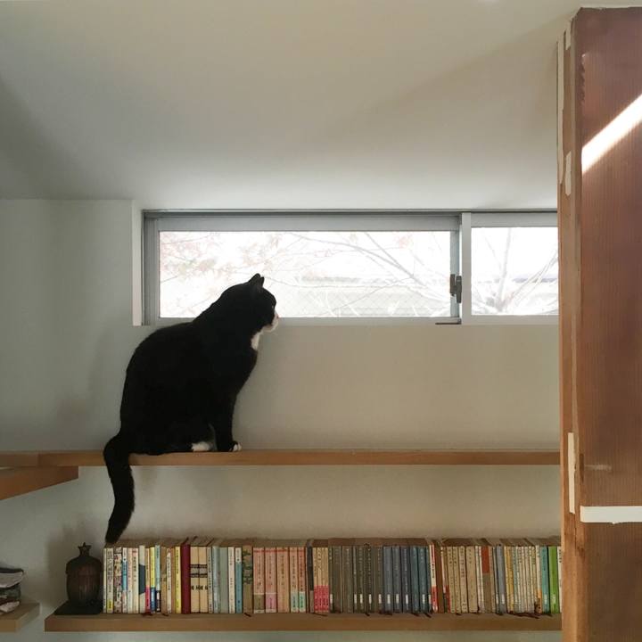 57960a48 ad65 4f49 8bf9 090d552c75e0 1554941991962